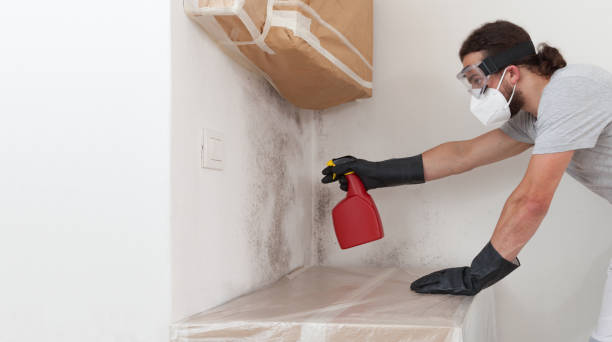 Professional Mold Remediation technician working in Newton Lower Falls, MA