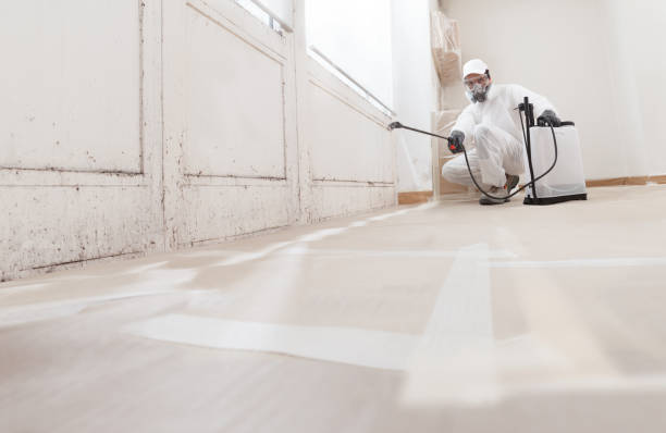 24/7 Emergency Mold Remediation experts in Newton Lower Falls, MA