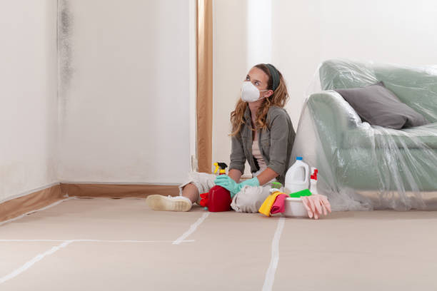Reliable Mold Remediation contractor in Newton Lower Falls, MA by Mold Remediation HQ